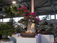 DSCN7599.JPG   BUGA &ndash; &copy; Kerstin Veit (Eberhardt TRAVEL)