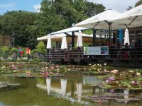 DSCN7642.JPG    Seerosenteich &ndash; &copy; Kerstin Veit (Eberhardt TRAVEL)