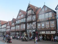  Celle: die 
