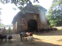  Schafstall &ndash; &copy; Adelheid Fritzsche (Eberhardt TRAVEL)