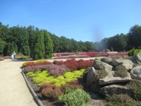  Heidegarten im Höpen &ndash; &copy; Adelheid Fritzsche (Eberhardt TRAVEL)