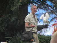  Wildvögel - Flugschau &ndash; &copy; Adelheid Fritzsche (Eberhardt TRAVEL)