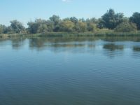 DSCN7896.JPG    Oder- Landschaft &ndash; &copy; Kerstin Veit (Eberhardt TRAVEL)