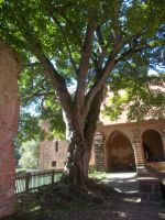 DSCN7905.JPG   Kloster &ndash; &copy; Kerstin Veit (Eberhardt TRAVEL)