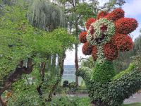 Insel Mainau &ndash; &copy; Gisela Hohlfeld (Eberhardt TRAVEL)