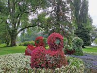 Insel Mainau &ndash; &copy; Gisela Hohlfeld (Eberhardt TRAVEL)