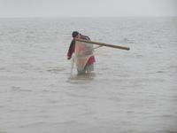 Wattwanderung &ndash; &copy; Mario Scheinert (Eberhardt TRAVEL)