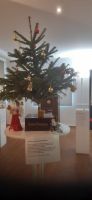 Harmonikamuseum Trossingen &ndash; &copy; Kerstin Hugel (Eberhardt TRAVEL)