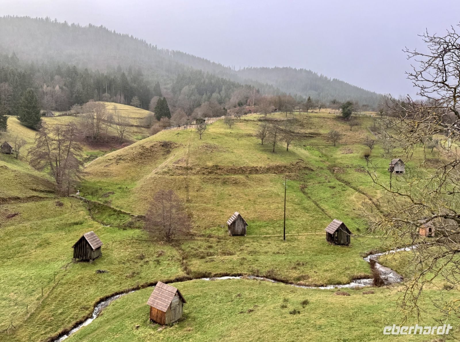 Tag 2 - Fahrt durch den Nord-Schwarzwald  &ndash; &copy; Christin Kuschka (Eberhardt TRAVEL)