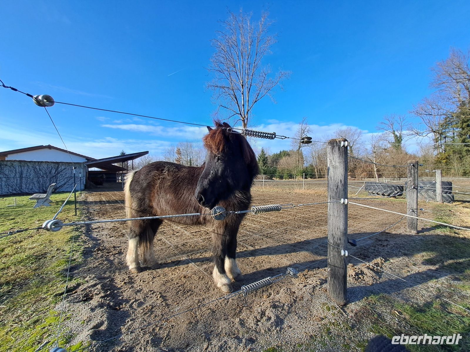 Islandpferdehof &ndash; &copy; Gisela Hohlfeld (Eberhardt TRAVEL)