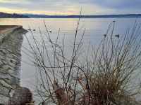Ammersee - Panorama &ndash; &copy; Gisela Hohlfeld (Eberhardt TRAVEL)