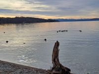 Ammersee - Sonnenuntergang &ndash; &copy; Gisela Hohlfeld (Eberhardt TRAVEL)