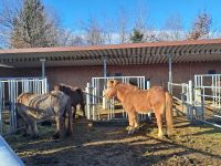 Pferdehof &ndash; &copy; Gisela Hohlfeld (Eberhardt TRAVEL)