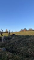 Rügen -Inselrundfahrt - Spaziergang Kap Arkona &ndash; &copy; Sabine C. Seifert (Eberhardt TRAVEL)