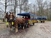 Tag 4 - Kutschfahrt durch die Lüneburger Heide &ndash; &copy; Christin Kuschka (Eberhardt TRAVEL)