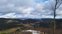 Blick auf den Titisee