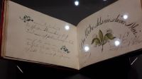   &ndash; &copy; Adelheid Fritzsche (Eberhardt TRAVEL)