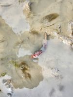 &copy; Petra Hady (Eberhardt TRAVEL)
