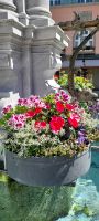Bregenz am Bodensee &ndash; &copy; Ingrid Langer (Eberhardt TRAVEL)