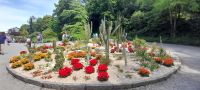 Insel Mainau &ndash; &copy; Ingrid Langer (Eberhardt TRAVEL)