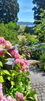 Insel Mainau