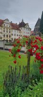 Schloss und Kloster Salem