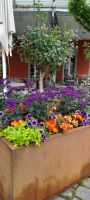 Lindau am Bodensee  &ndash; &copy; Ingrid Langer (Eberhardt TRAVEL)