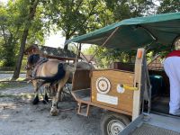 Kutschfahrt &ndash; &copy; Ina Lakermann (Eberhardt TRAVEL)