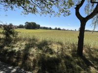 Heidelandschaft &ndash; &copy; Ina Lakermann (Eberhardt TRAVEL)