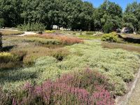 Heidegarten Schneverdingen &ndash; &copy; Ina Lakermann (Eberhardt TRAVEL)