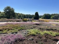 Heidegarten  &ndash; &copy; Ina Lakermann (Eberhardt TRAVEL)