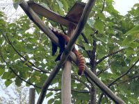 Tiergehege &ndash; &copy; Ina Lakermann (Eberhardt TRAVEL)