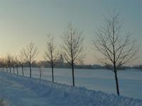018_Raureif