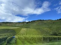 Mehring &ndash; &copy; Sabine Letzybyll (Eberhardt TRAVEL)