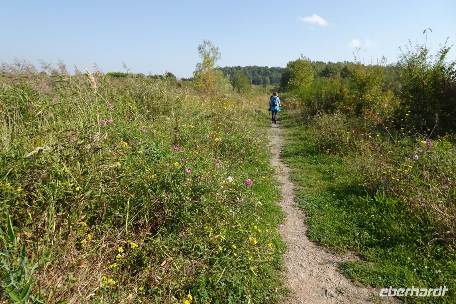 Tag 4 18.09.2024 Haldenwanderung Grube Reden  &ndash; &copy; Gabriele Sauer (Eberhardt TRAVEL)