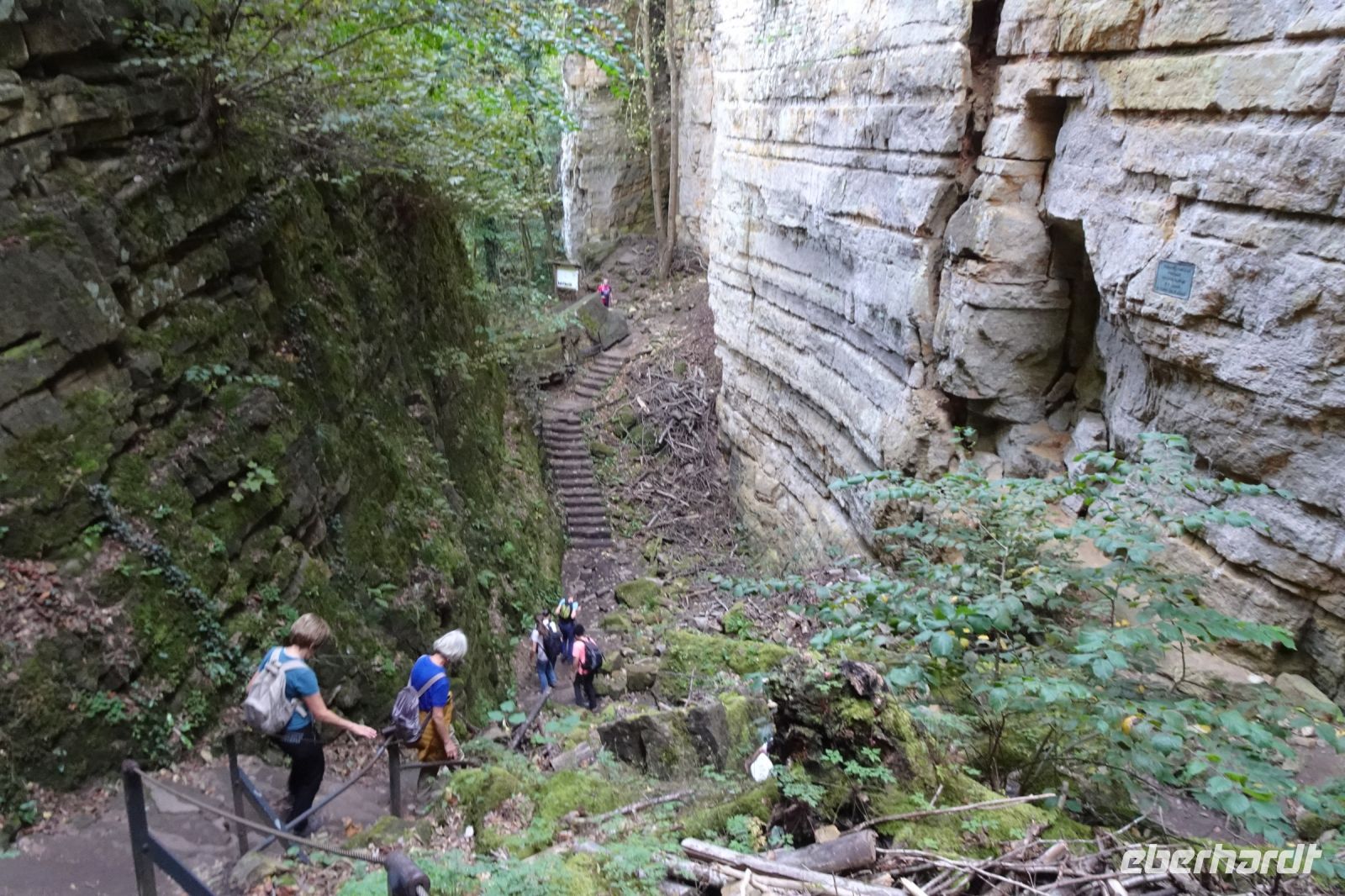 Tag 6 20.09.2024 Wanderung Müllerthal (Lux)  &ndash; &copy; Gabriele Sauer (Eberhardt TRAVEL)