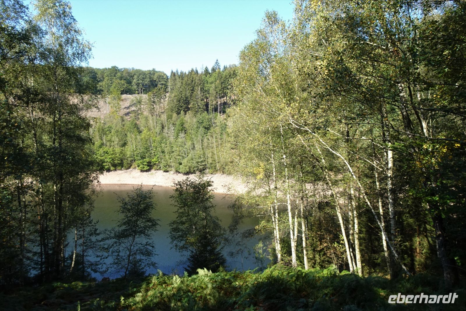 Tag 7 Wanderung auf dem Premiumwanderweg Dollbergschleife, Nonnweiler Stausee &ndash; &copy; Gabriele Sauer (Eberhardt TRAVEL)