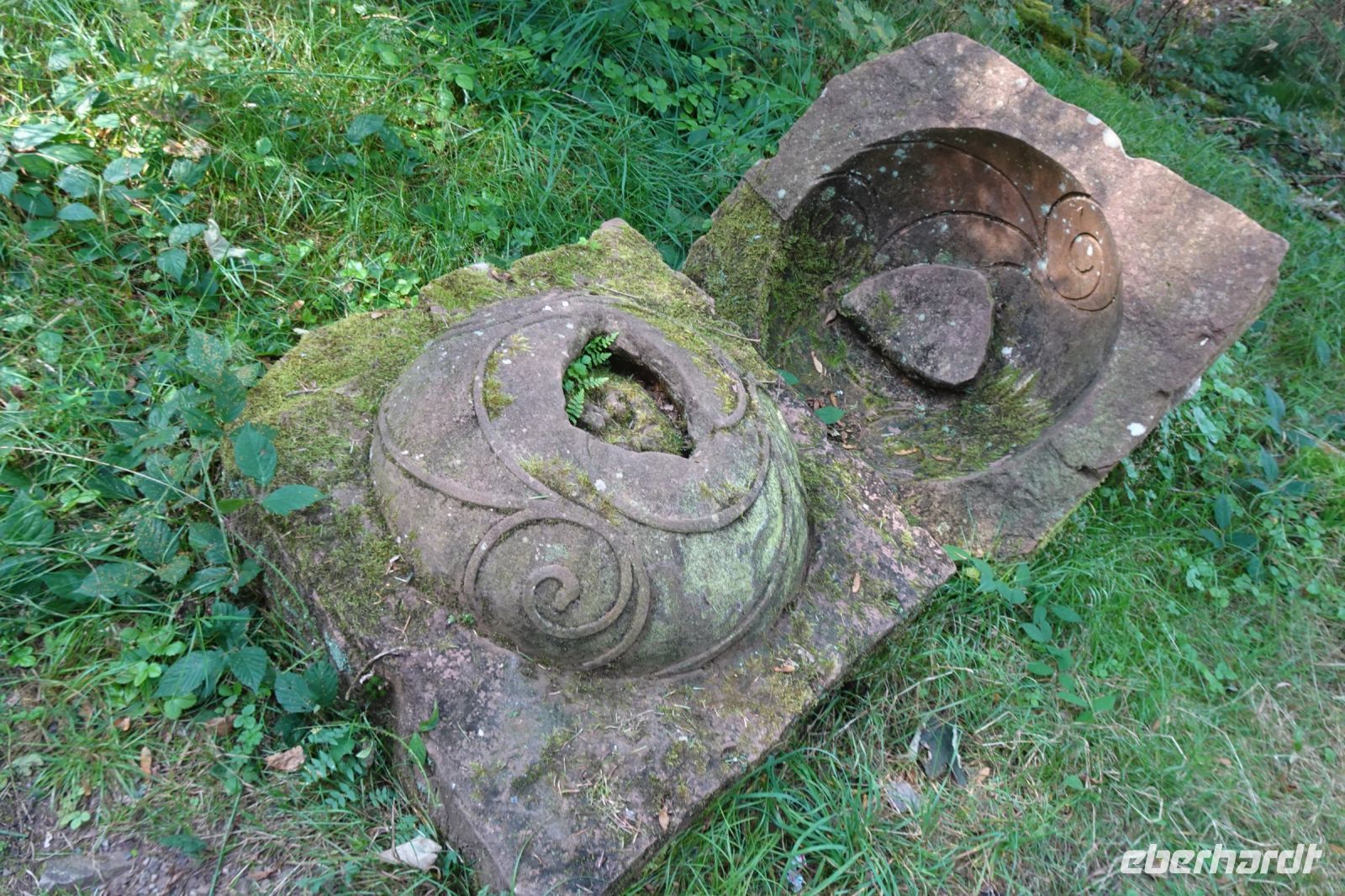 Tag 7 Wanderung auf dem Premiumwanderweg Dollbergschleife    &ndash; &copy; Gabriele Sauer (Eberhardt TRAVEL)