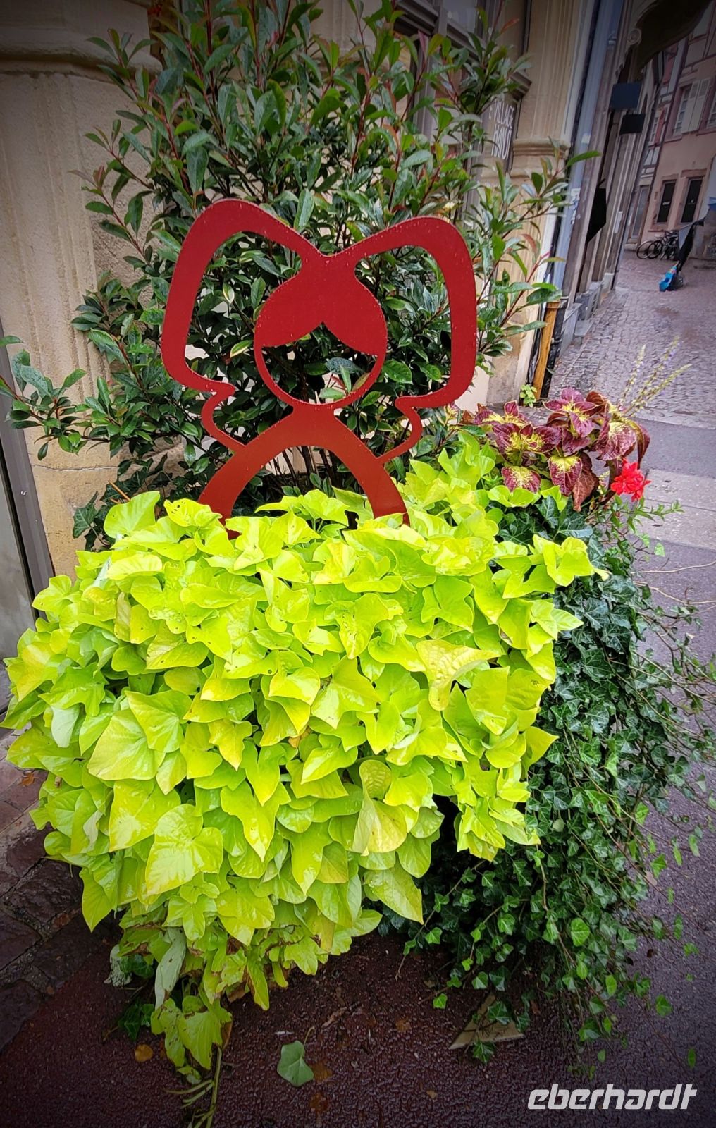 0301 Colmar &ndash; &copy; Jörg Nesse (Eberhardt TRAVEL)
