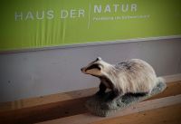 0505 Feeldberg Haus der Natur &ndash; &copy; Jörg Nesse (Eberhardt TRAVEL)