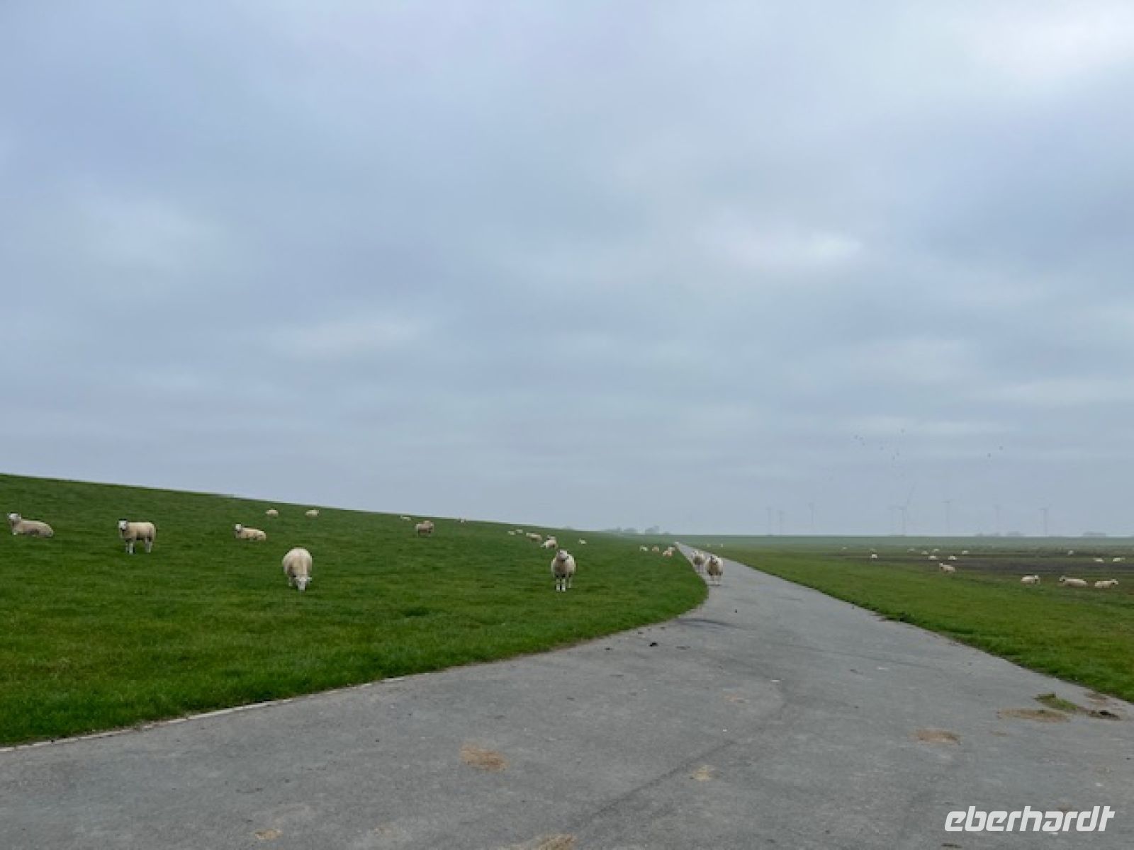Deichbewohner &ndash; &copy; Thomas Hahn (Eberhardt TRAVEL)