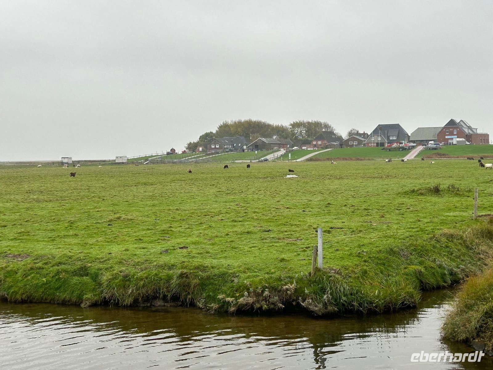 die Hanswarft &ndash; &copy; Thomas Hahn (Eberhardt TRAVEL)