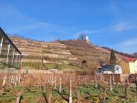 2024_Weihnachtsreise_Dresden: Weingut Wackerbarth &ndash; &copy; Dieter Braune (Eberhardt TRAVEL)