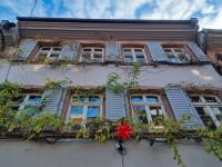 Freiburg im Breisgau  &ndash; &copy; Katrin Deutschbein (Eberhardt TRAVEL)