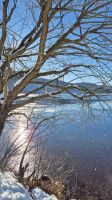 Titisee &ndash; &copy; Sinah Witzig (Eberhardt TRAVEL)