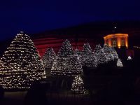 DSCN9659.JPG