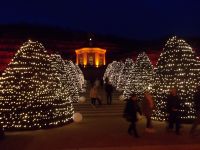 DSCN9661.JPG