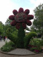Insel Mainau2 &ndash; &copy; Uta Hertel (Eberhardt TRAVEL)