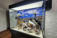 Natureum Darßer Ort &ndash; &copy; Petra Hady (Eberhardt TRAVEL)