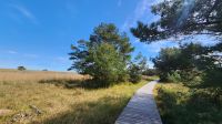 Darßer Ort, Bohlenrundweg